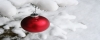 Buon Natale